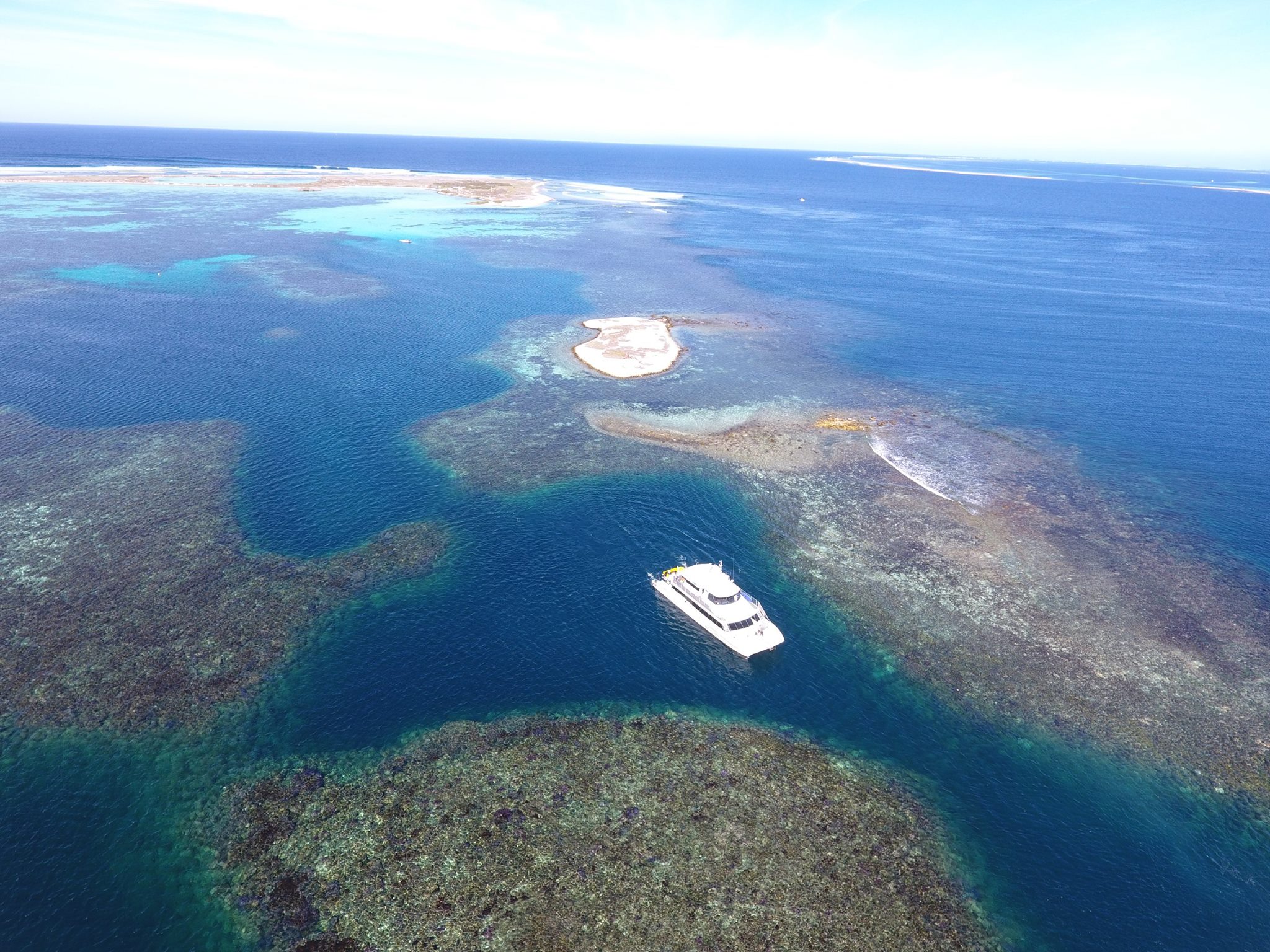 Abrolhos Naturals